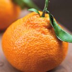 Bergamota Ponkan Orgânica (500g) - Image 2