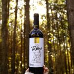 Vinho Orgânico Texugo HEX VON WEIN (750ml)
