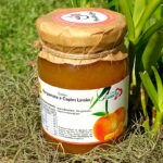 Geleia de Bergamota Com Capim-Limão Orgânica (290g) - Produtos Lilien - Image 2